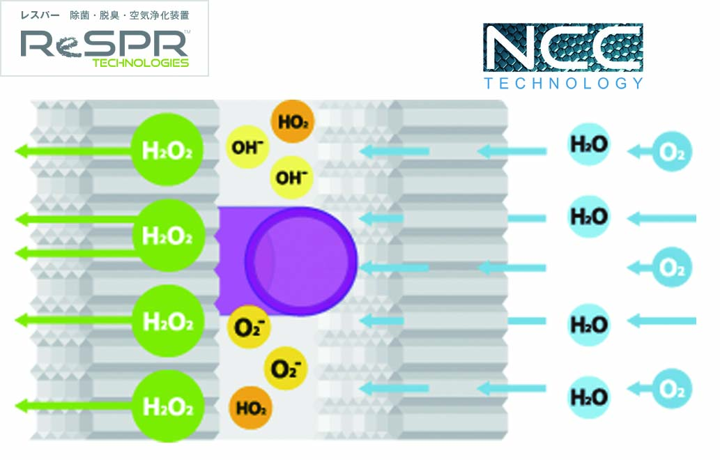 空気除菌除臭清浄機(オゾンタイプ）<br />Resperシリーズ<br />HVAC(ダクトイン型)